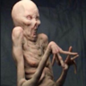 Meet your Posher, Jak